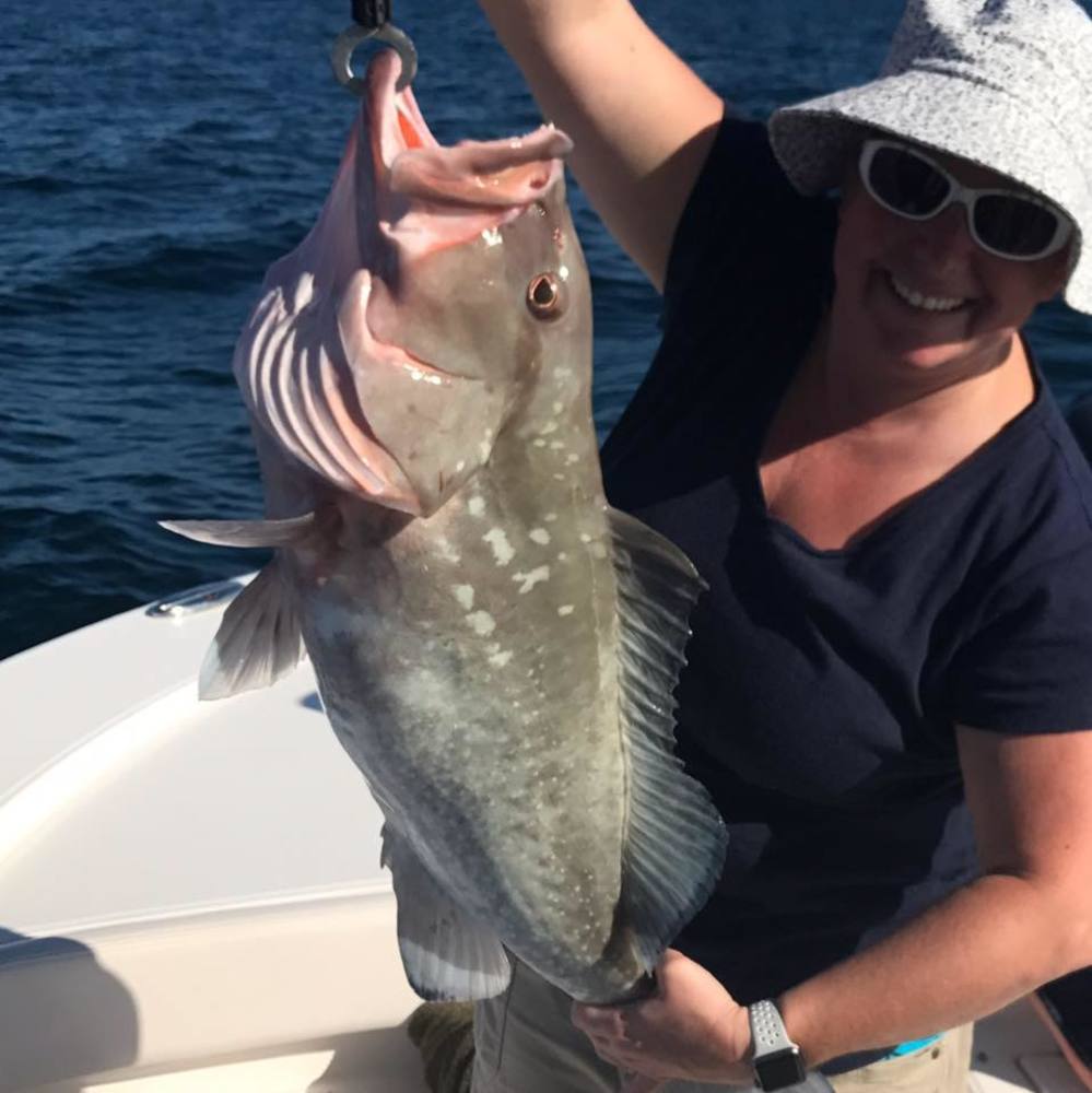 Meet your Posher, Karissa